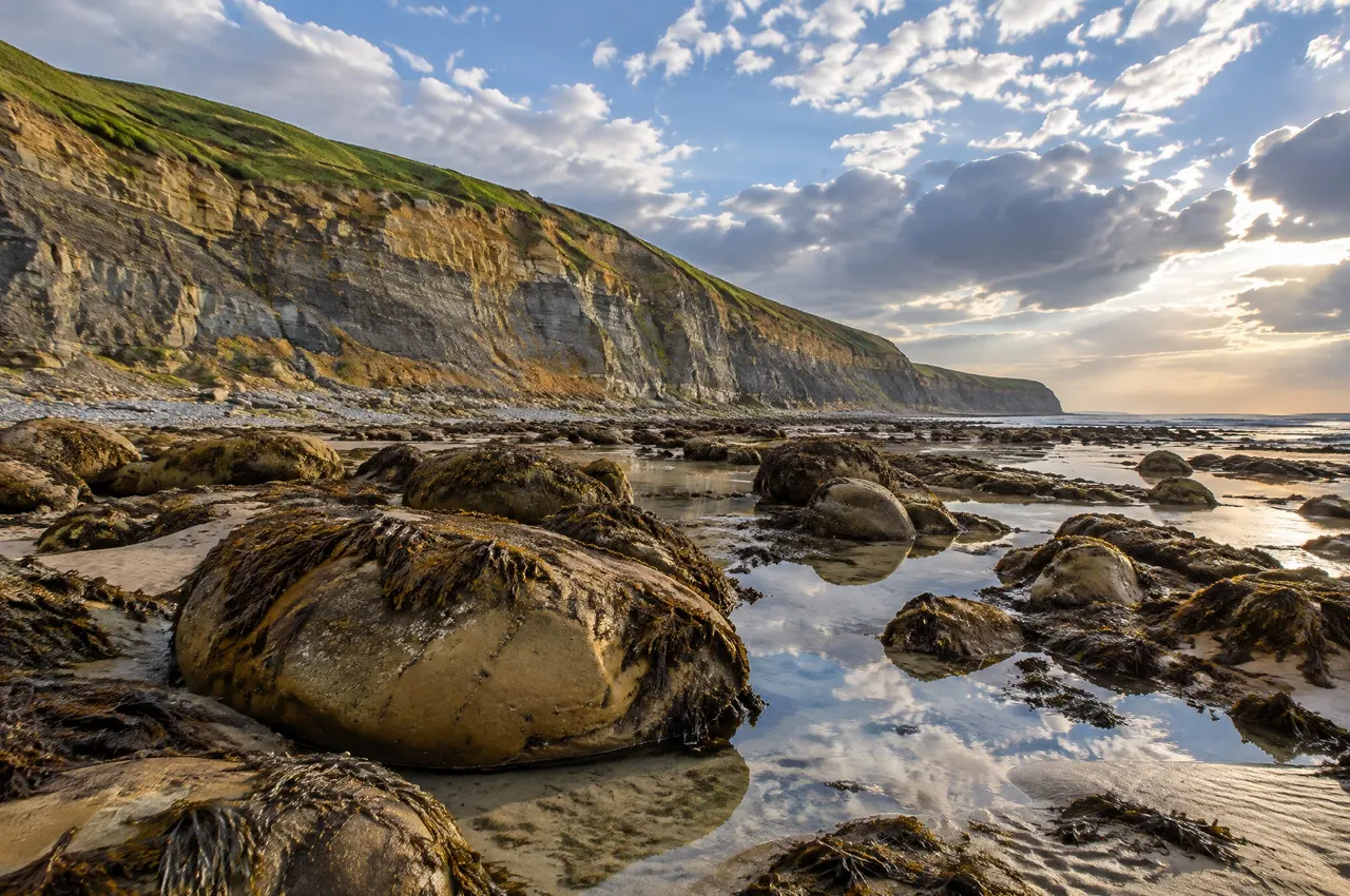 Les falaises grises et ocre du Gris-Nez vues de l'estran à marée basse, gros blocs de grès couverts d'algues